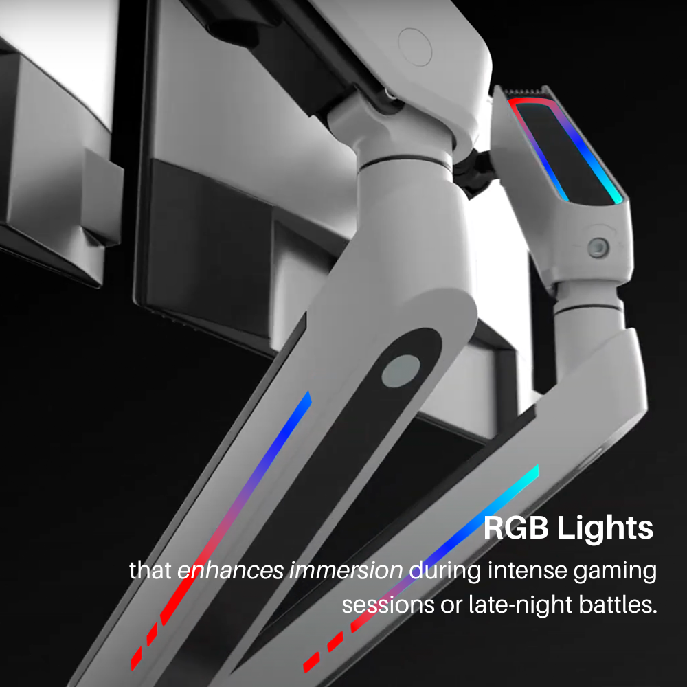 Dual Monitor Arm with RGB Lighting