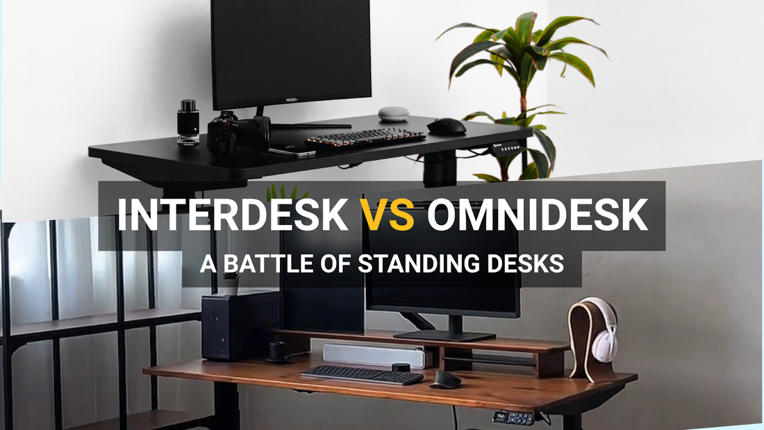 Interdesk VS Omnidesk: A Battle of Standing Desks