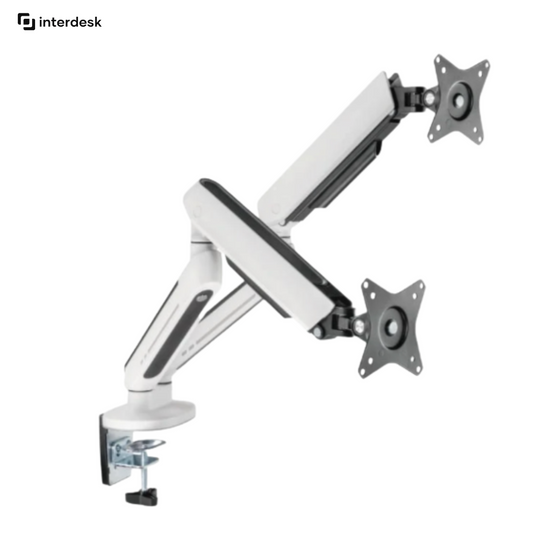 Dual Monitor Arm with RGB lighting