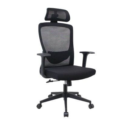 InterGlide Eudoros Ergonomic Mesh Chair