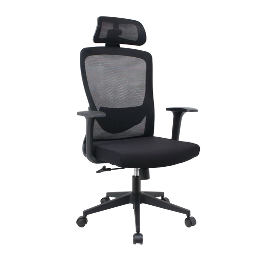 InterGlide Eudoros Ergonomic Mesh Chair
