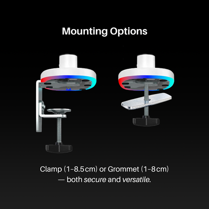Single Monitor Arm with RGB Lighting