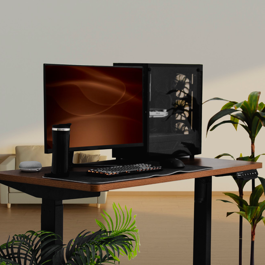 interdesk pro